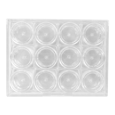 Box with 12 Empty 3gr Jars