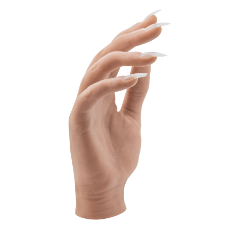 Your Perfect Hand Model    Full Hand  Light